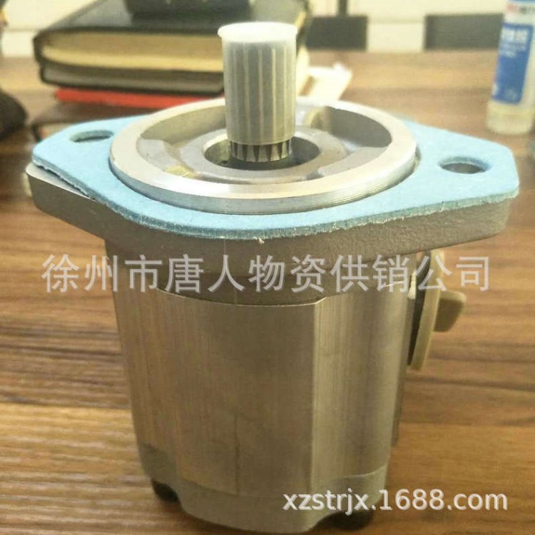 廠家批發(fā) 壓路機(jī)轉(zhuǎn)向泵 壓路機(jī)配件 歡迎咨詢
