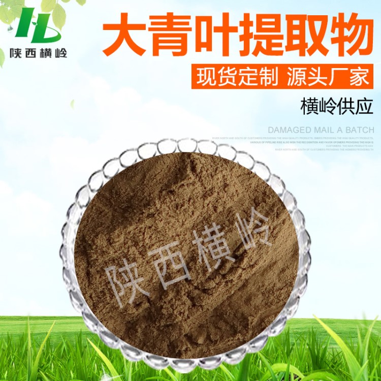 大青葉提取物 30:1大青葉多糖 植物萃取大青葉粉末原料 廠家包郵