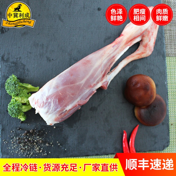 批發(fā)清真食品燒烤食材后小腿羊后棒 冷凍生鮮肉羊后腿肉