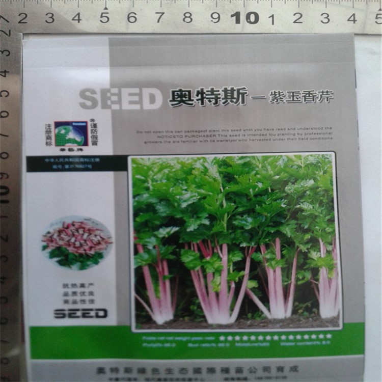 蔬菜種子 紫玉香芹 紫紅色芹菜 含影響豐富 口感好 新品種！