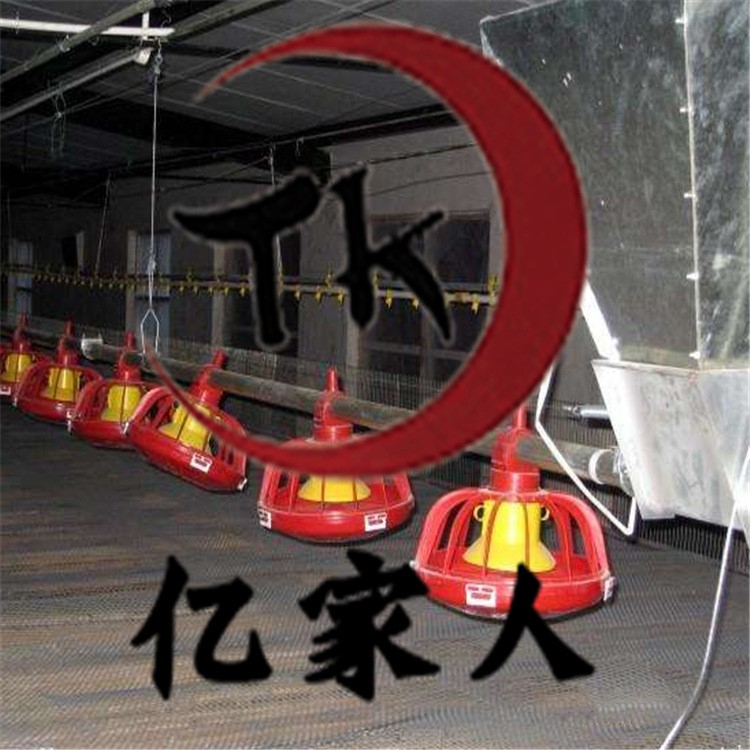 自動(dòng)化喂料設(shè)備 料盤 彈簧絞龍廠家生產(chǎn)養(yǎng)雞自動(dòng)料線