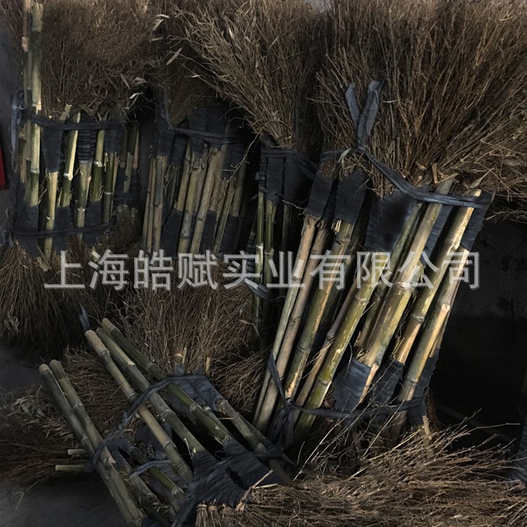 掃把大竹掃把笤帚竹掃帚戶外掃庭院掃馬路工廠環(huán)衛(wèi)竹絲長(zhǎng)柄竹子