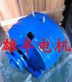 廠家直銷600w單相率永磁發(fā)電機0.6kw微型發(fā)電機風(fēng)力發(fā)電機