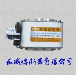 厂家直销快速熔断器RS8 800V 3600A