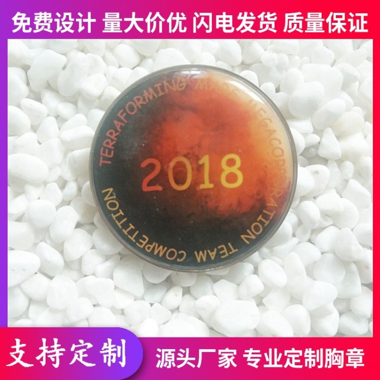 金屬徽章定制 彩色印刷卡通徽章 動漫胸牌 學(xué)校?；招Ｅ贫ㄗ?
                                                         style=