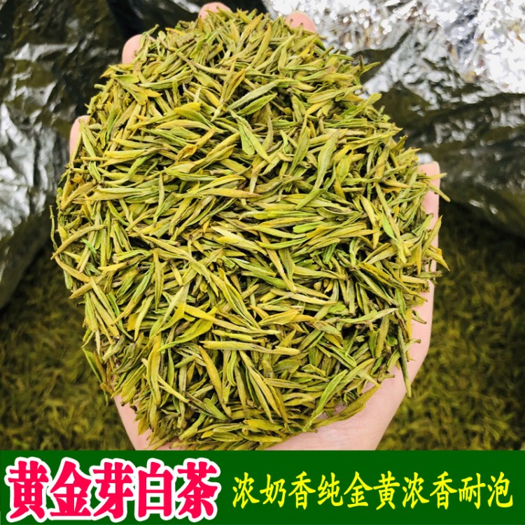 艾達福 黃金芽 奶香型安吉白茶 金黃鳳形 2019年新茶 春綠茶批發