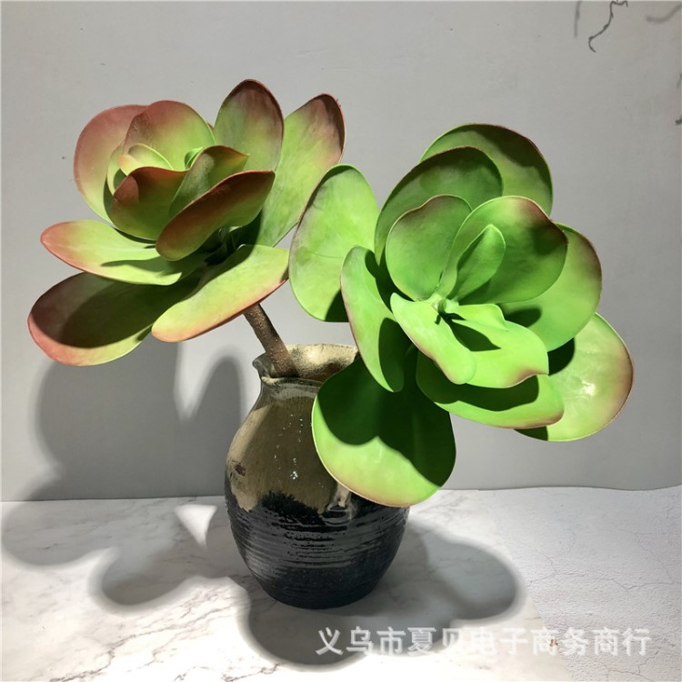 仿真花仿真長支多肉植物假多肉大蓮花 仿真綠植長桿觀音蓮批發(fā)