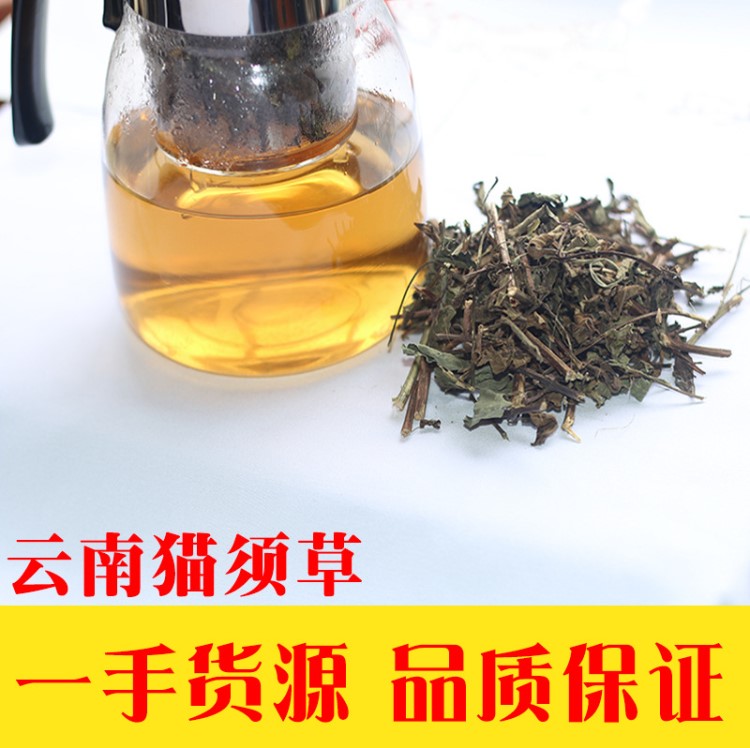 批發(fā)云南西雙版納野生貓須草腎茶化石草養(yǎng)生茶貓須公中藥材