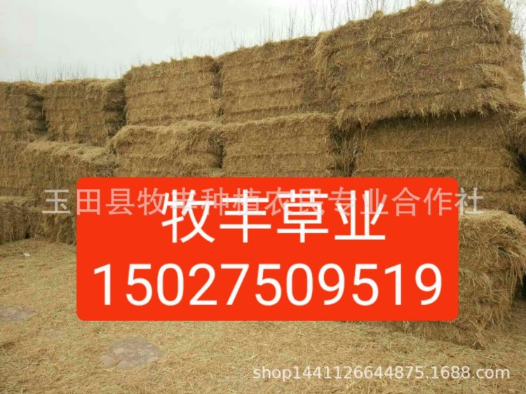綠化用食用菌栽培用大壓塊稻草