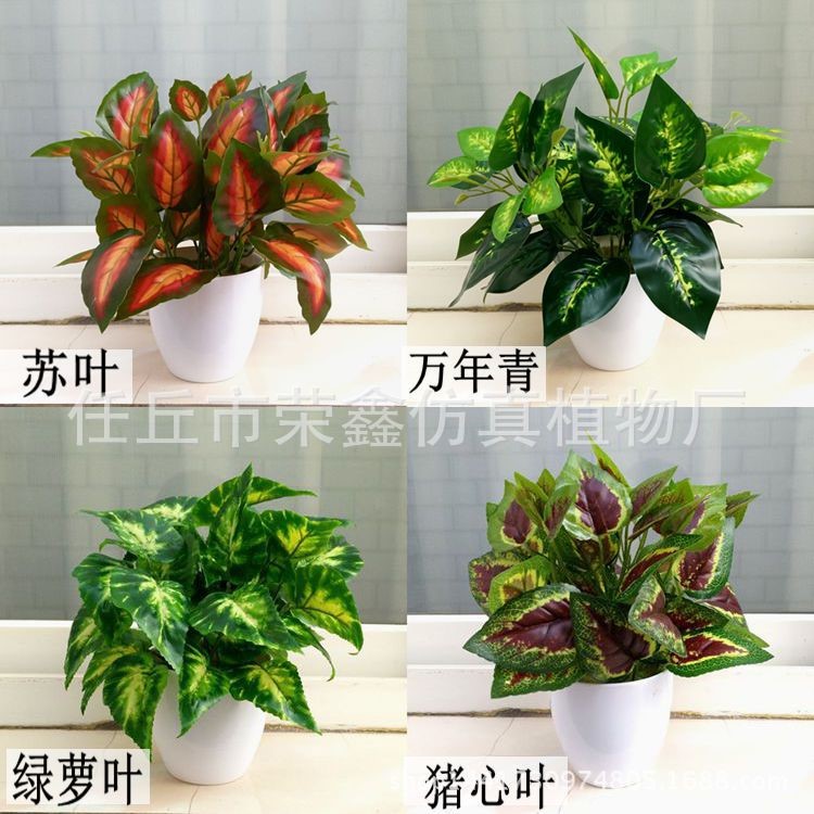 仿真植物盆景小綠植盆栽節(jié)日禮品創(chuàng)意擺件假仿真花臥室餐廳假花