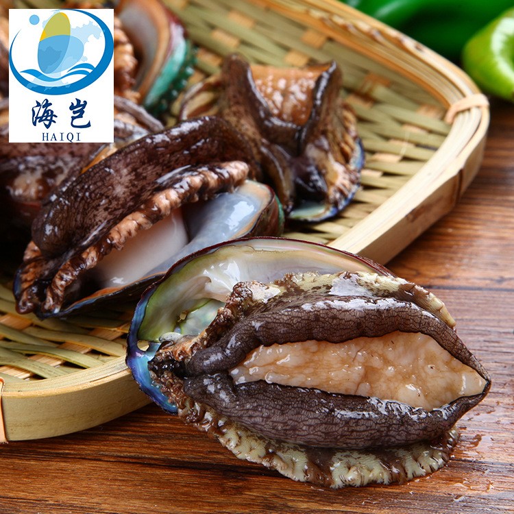 東山海鮮鮑魚批發(fā)9-10頭鮑魚鮮活冷凍海產(chǎn)品 產(chǎn)地直銷野生活海鮮