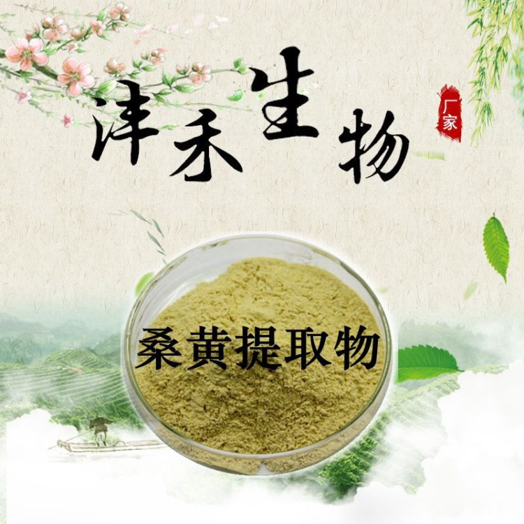 天然桑黃提取物 廠家現(xiàn)貨供應(yīng) 桑黃多糖 30% 量大從優(yōu) 包郵