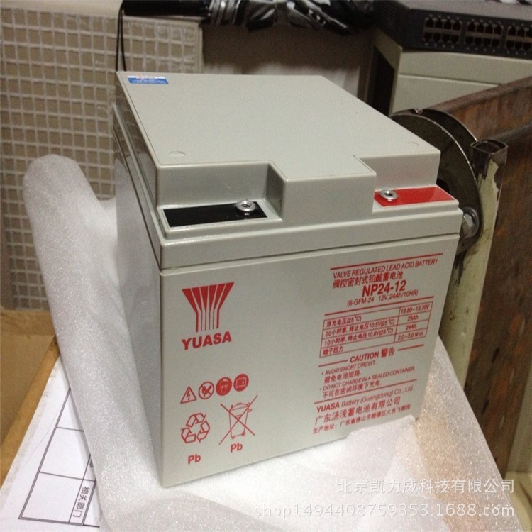 原裝YUASA湯淺蓄電池NPL24-12長壽命蓄電池12V24AH品牌代理商