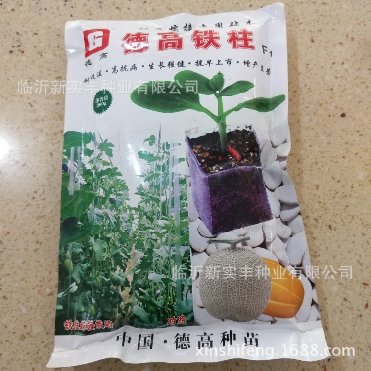 嫁接粘木種子 全能鐵甲 嫁接專用種子 甜瓜嫁接專用粘木種子