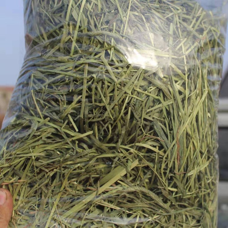 提摩西草兔子草兔粮一斤500克袋装龙猫荷兰猪豚鼠饲料梯牧草干草