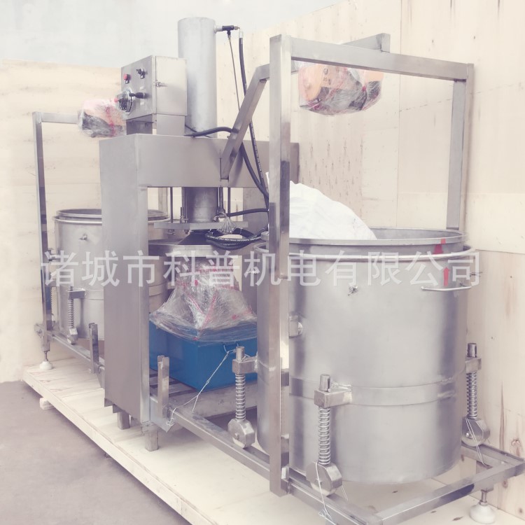 廠家直供果汁飲料廠用冷榨果汁榨汁機 藍莓、蘋果、梨子提取汁液