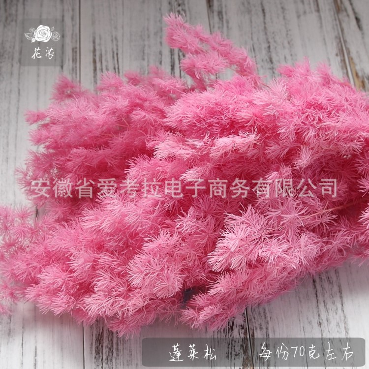 永生蓬萊松 永生花花材 禮盒制作材料 節(jié)日禮物