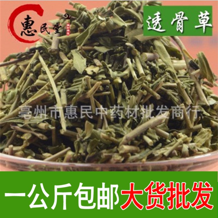透骨草 批發透骨草 透骨草 包郵 農產品初加工