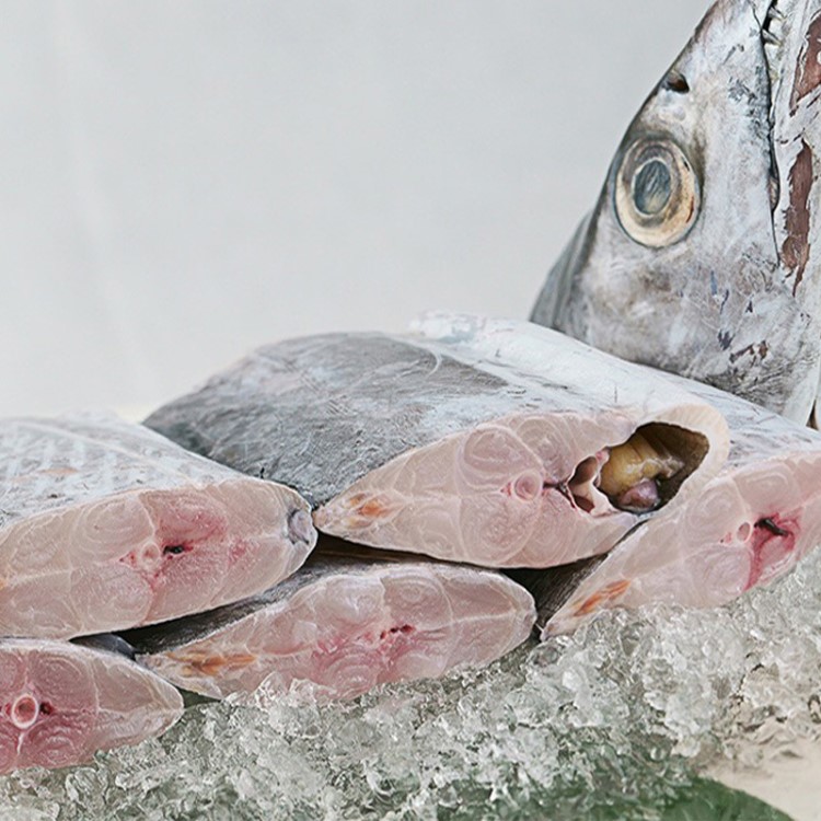 產(chǎn)地貨源東海帶魚新鮮鮮活海鮮水產(chǎn)帶魚段特大帶魚整箱速凍批發(fā)