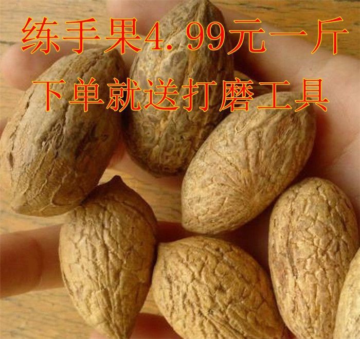 千眼菩提原籽原料手把件佛珠念珠超大風(fēng)化果黑皮果千眼菩提子雕刻