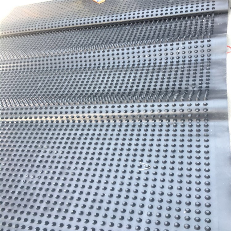 4公分高度HDPE卷材排水板 濾水板 透水板 抗壓 卷材排水板