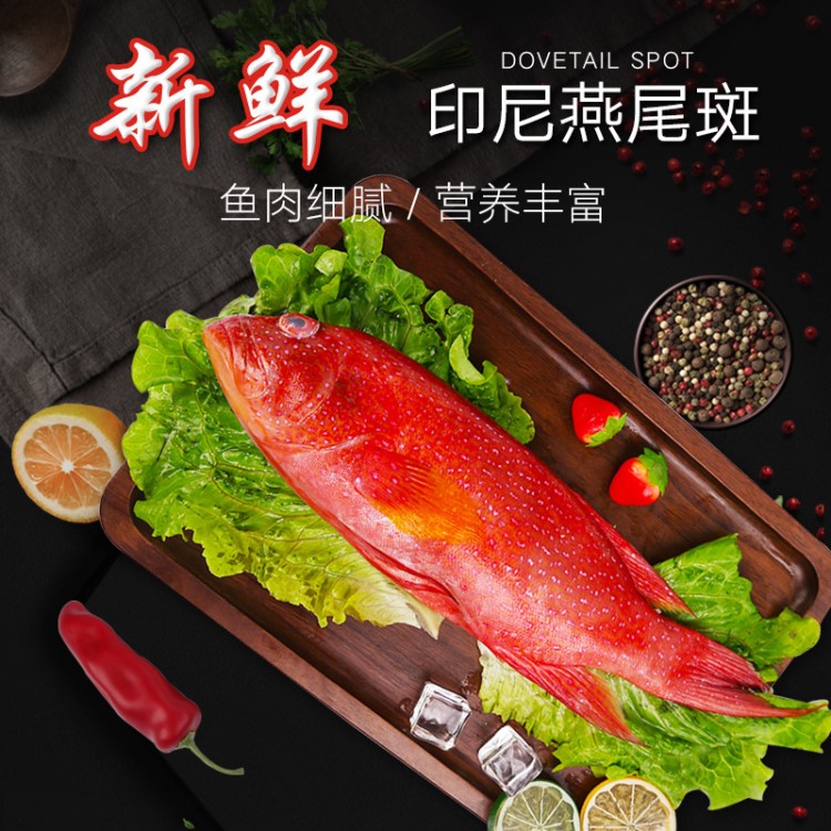 供應(yīng)海鮮魚類 印尼燕尾斑 魚肉細(xì)膩 冷凍真空包裝水產(chǎn) 燕尾斑