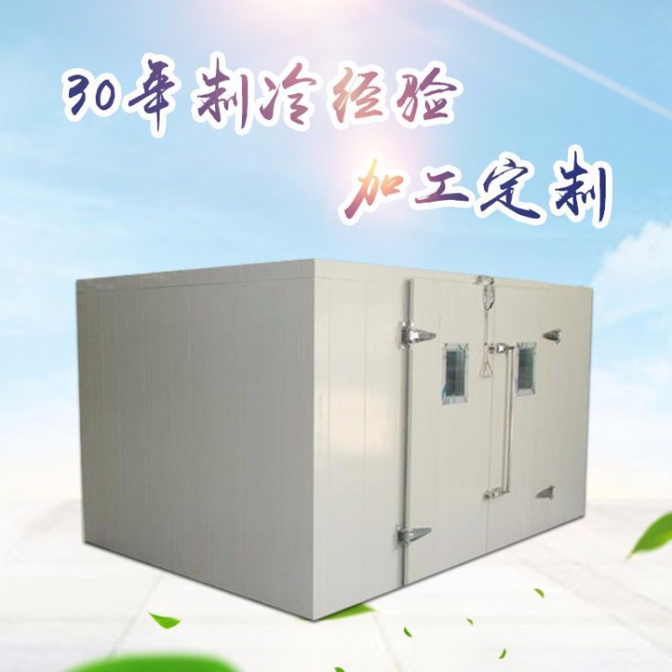安裝定制 冷庫(kù) 藥品保存冷庫(kù)低溫速凍冷藏庫(kù)