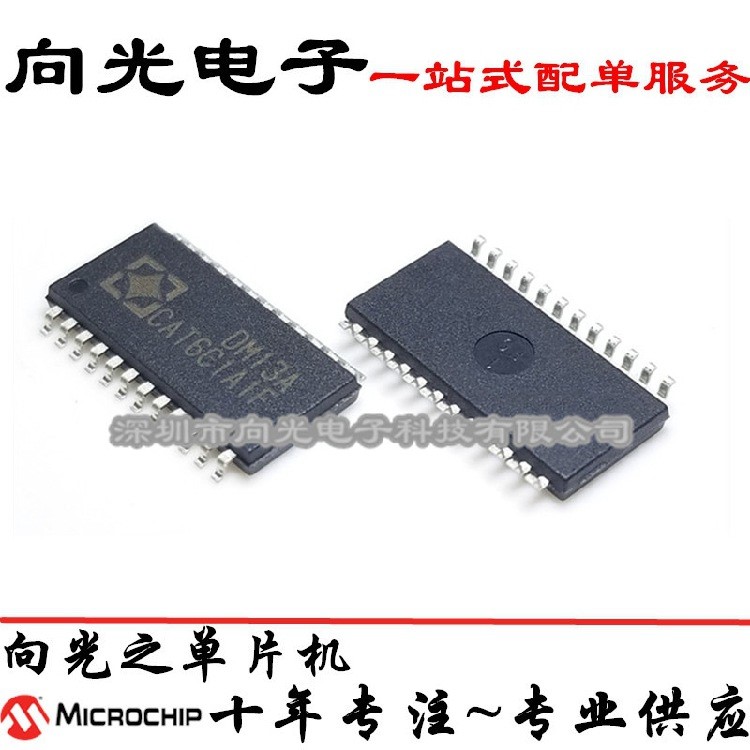 DM13A SSOP24貼片24腳 腳距1.0MM LED恒流驅動芯片全新原裝單片機