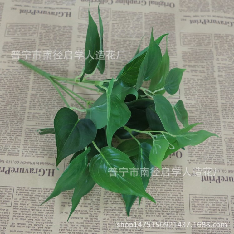 仿真萬年青 仿真植物 塑料植物花草 雞心葉花葉綠蘿手感過膠葉