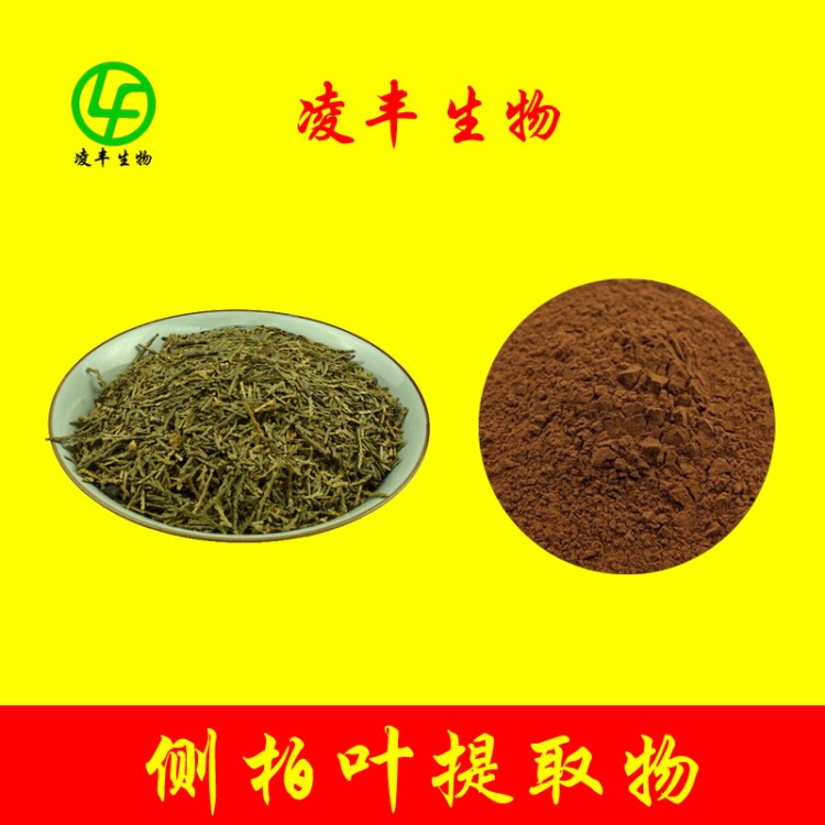 側(cè)柏葉提取物 側(cè)柏葉粉 側(cè)柏葉浸膏粉 松樹提取物 黃酮