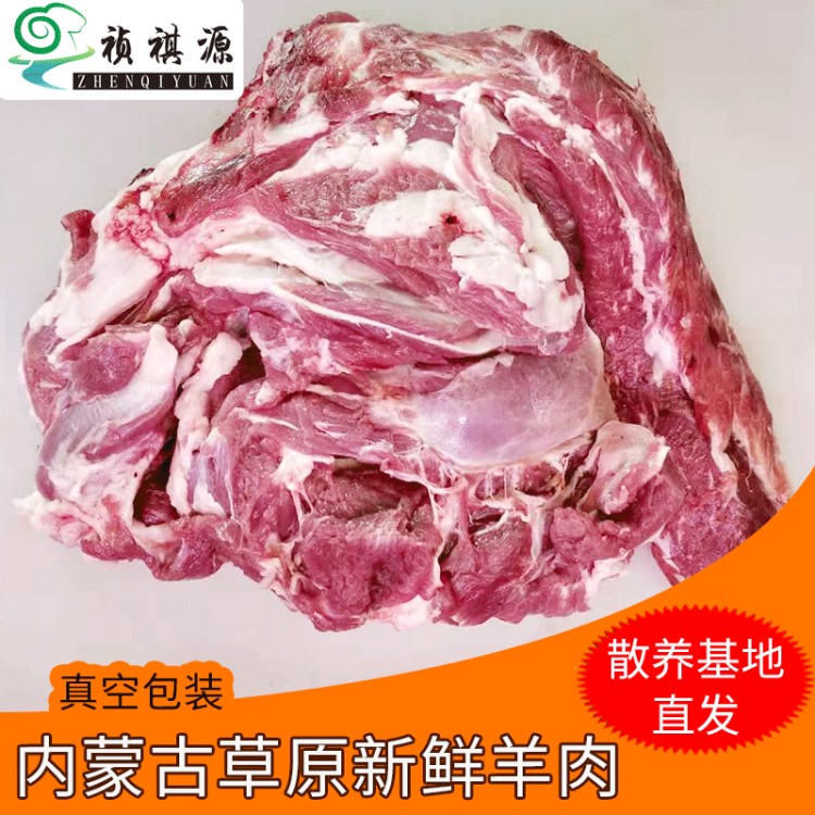 新鮮羊肉前腿肉內(nèi)蒙古草原散養(yǎng)羔羊肉餐飲生鮮冷凍羔羊肉燒烤批發(fā)