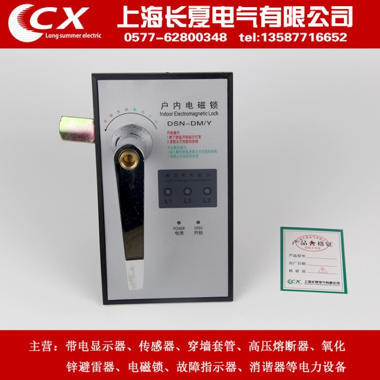 生產(chǎn) DSN-DMY 戶內(nèi)電磁鎖 DSN-DMZ