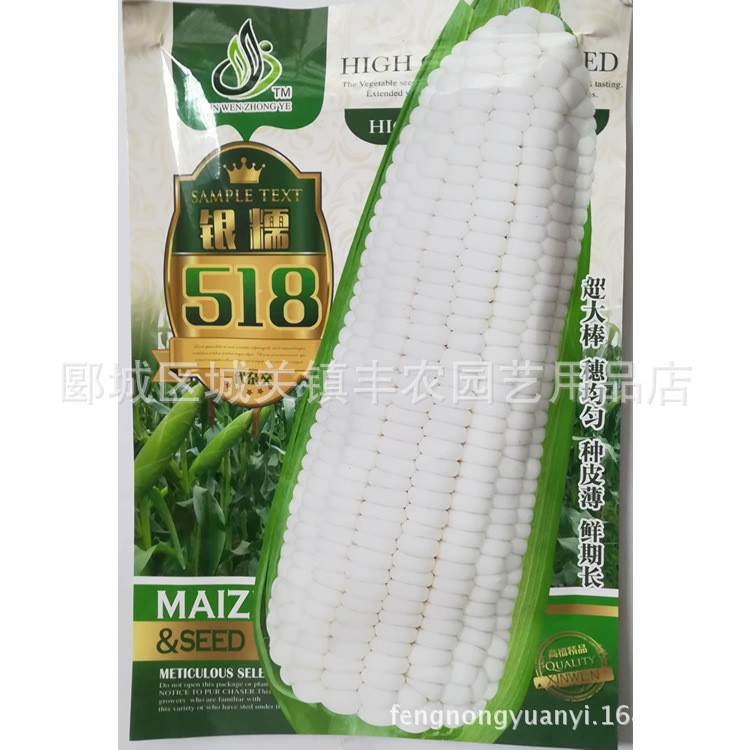 白糯玉米種子 銀糯518 雜交鮮食水果玉米 100g裝