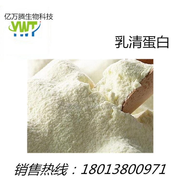 分離乳清蛋白 增肌粉 巧克力味 健身用蛋白粉 量大從優(yōu)