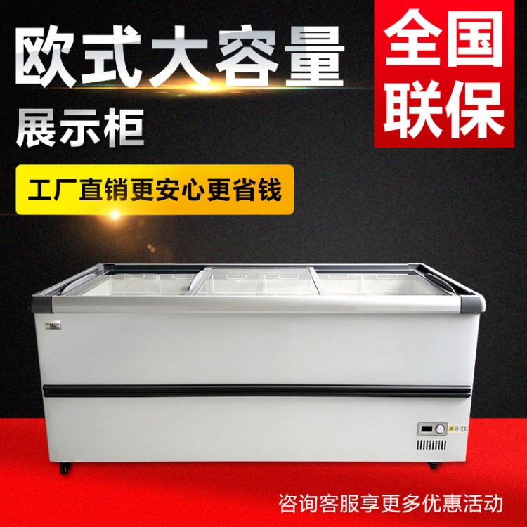 商用展示冷凍大冰柜大容量玻璃門展示冷柜銅管制冷超市保鮮冰箱