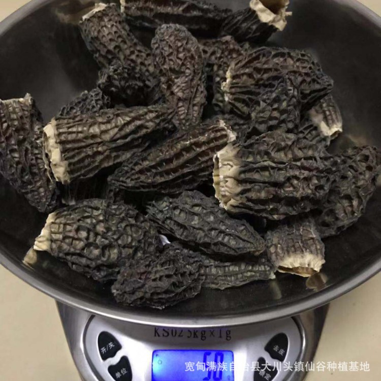 批發(fā)羊肚菌 干貨剪腳500g包郵 種植戶直供酒店飯店 高營養(yǎng)食用菌