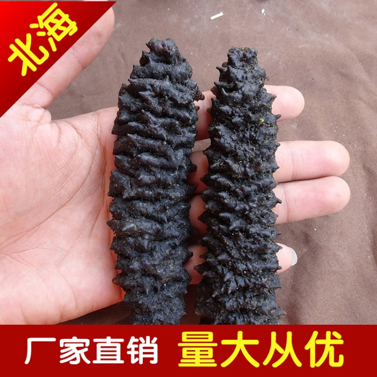 龍紋參帶刺產(chǎn)地螺紋刺參海參干貨 滋補(bǔ)品500g干貨食材廠家批發(fā)