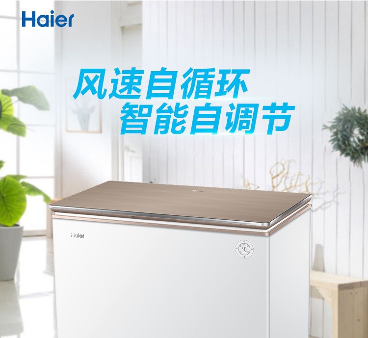 Haier/海爾單溫BC/BD-100HD/142/200HEGW家用小型低霜低溫冰柜