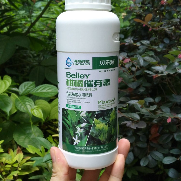 贝乐源 柑橘专用催芽素 催芽剂 含氨基酸水溶肥 多芽壮芽促秋稍
