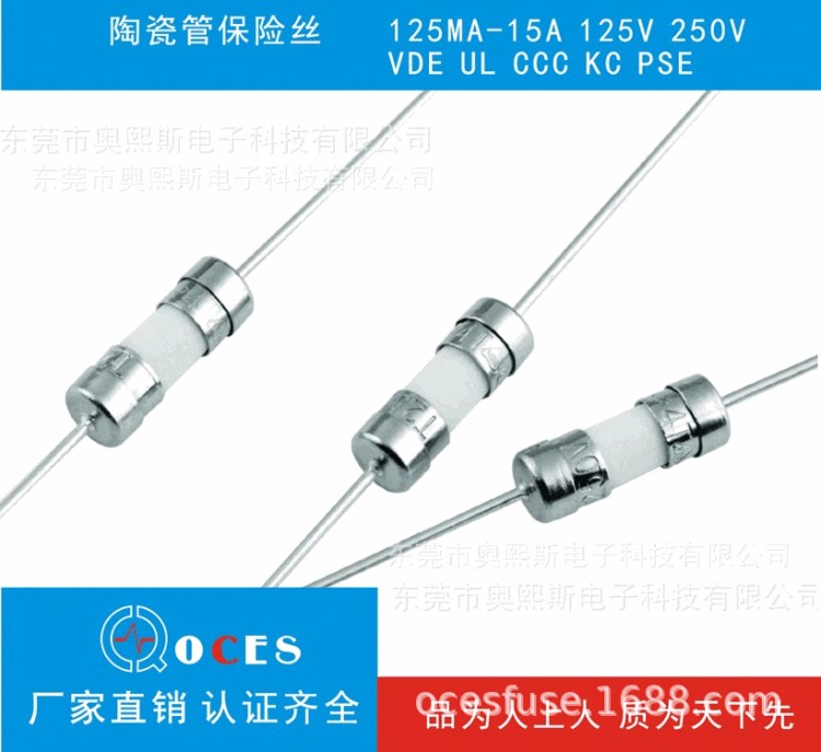 廠家直銷 陶瓷保險管0.2A~20A灌沙保險管 抗雷擊保險管奧熙斯定制