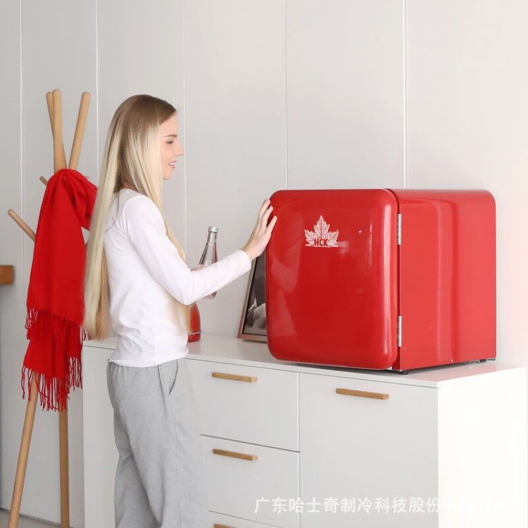 哈士奇復古冰箱BC-46COC小冰箱化妝品冰箱迷你冰箱春節禮品小冰箱