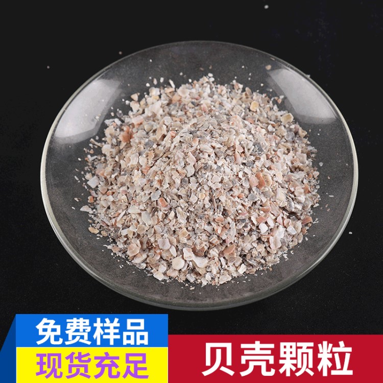 堵漏材料4-8目貝殼顆粒 動物飼料級貝殼粉 鴨飼料添加劑貝殼顆粒