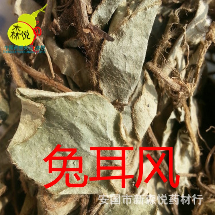 兔耳風(fēng) 批發(fā)冷背中藥材 大血筋草 水上紅 心肺草 石風(fēng)丹 專