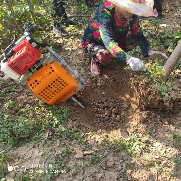 現(xiàn)貨供應(yīng)園林汽油移樹機(jī)多功能樹苗移樹機(jī)小型汽油挖樹機(jī)破碎