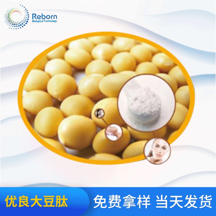 供應(yīng)大豆肽 Soybean Peptide（小分子極易吸收）