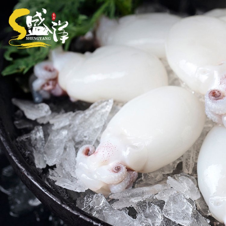單凍墨魚仔 無籽烏賊小目魚干冷凍海產(chǎn)品火鍋食材批發(fā)450g