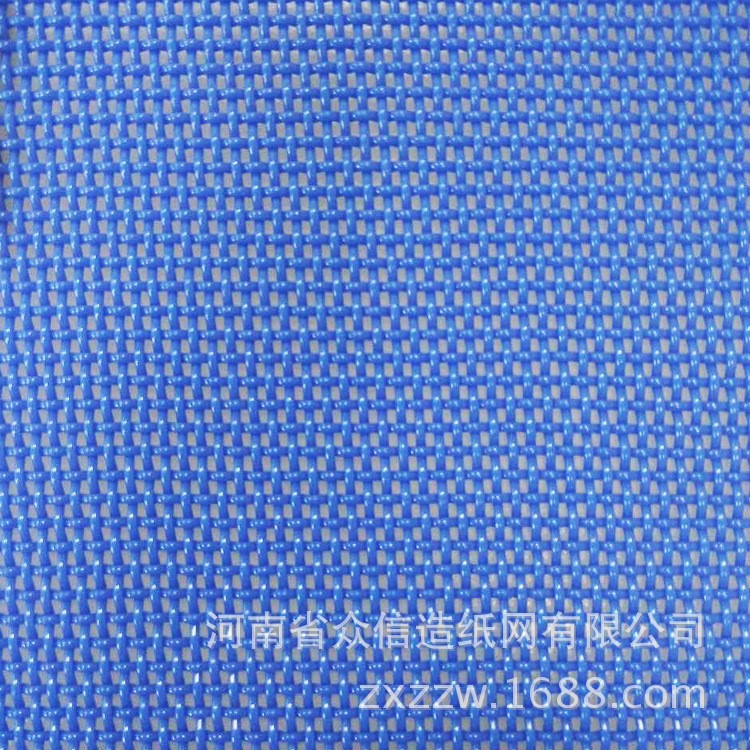 廠家直銷 pvc塑料網 pp濾網 烘干網帶 長期供應