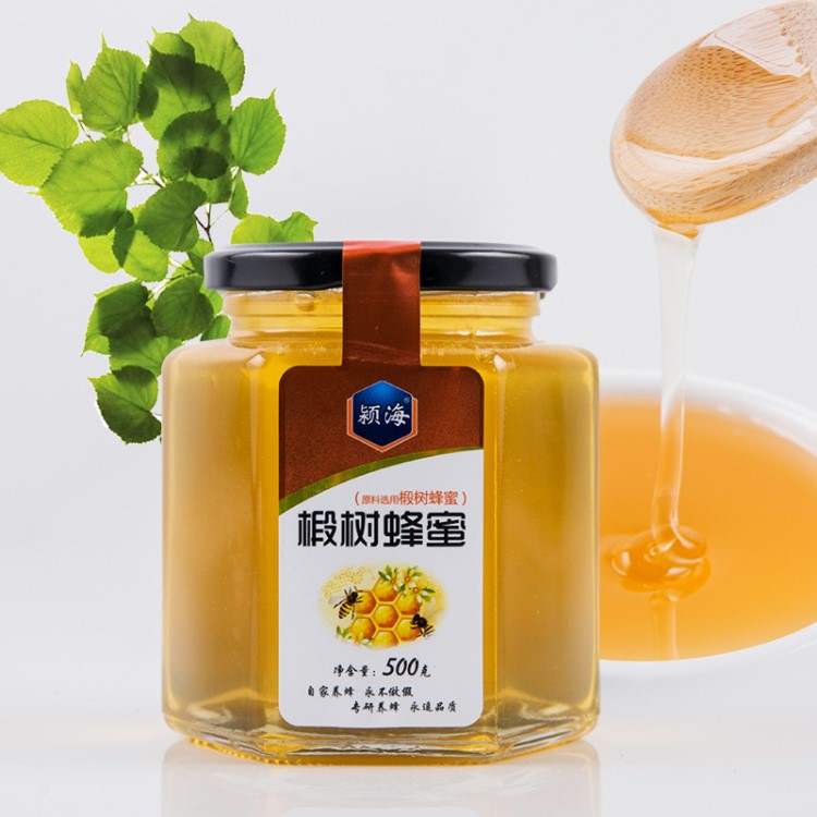 蜂蜜批發(fā)500g椴樹蜂蜜 oem貼牌代加工農(nóng)家蜂場直銷土蜂蜜 椴樹蜜