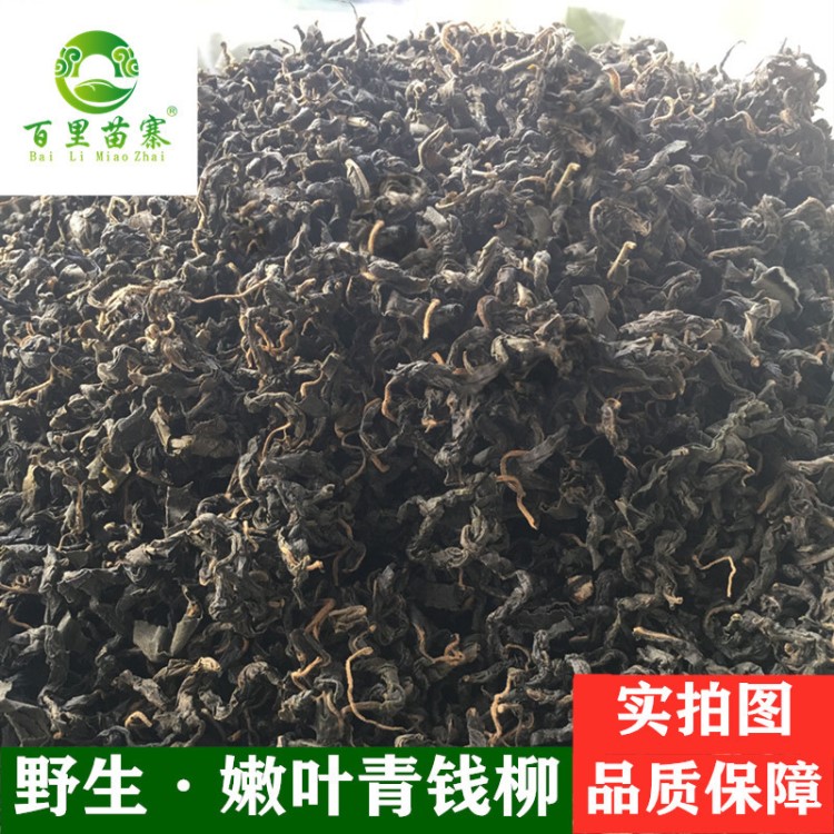 2019新茶批發(fā)野生青錢柳茶古樹(shù)嫩葉青錢柳養(yǎng)生茶廠家批發(fā)嫩葉原葉