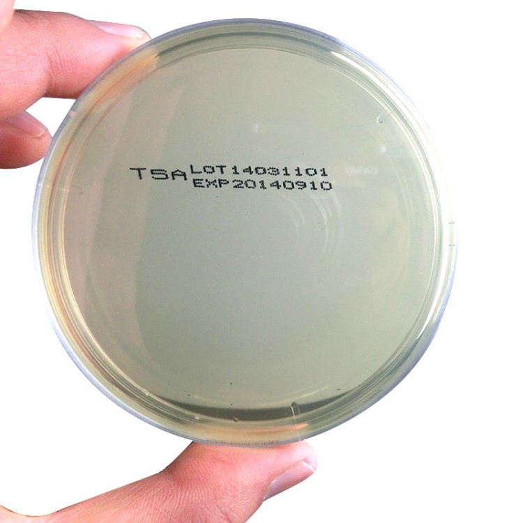 厂家直销 60mm/55mm胰酪大豆胨琼脂表面培养基
